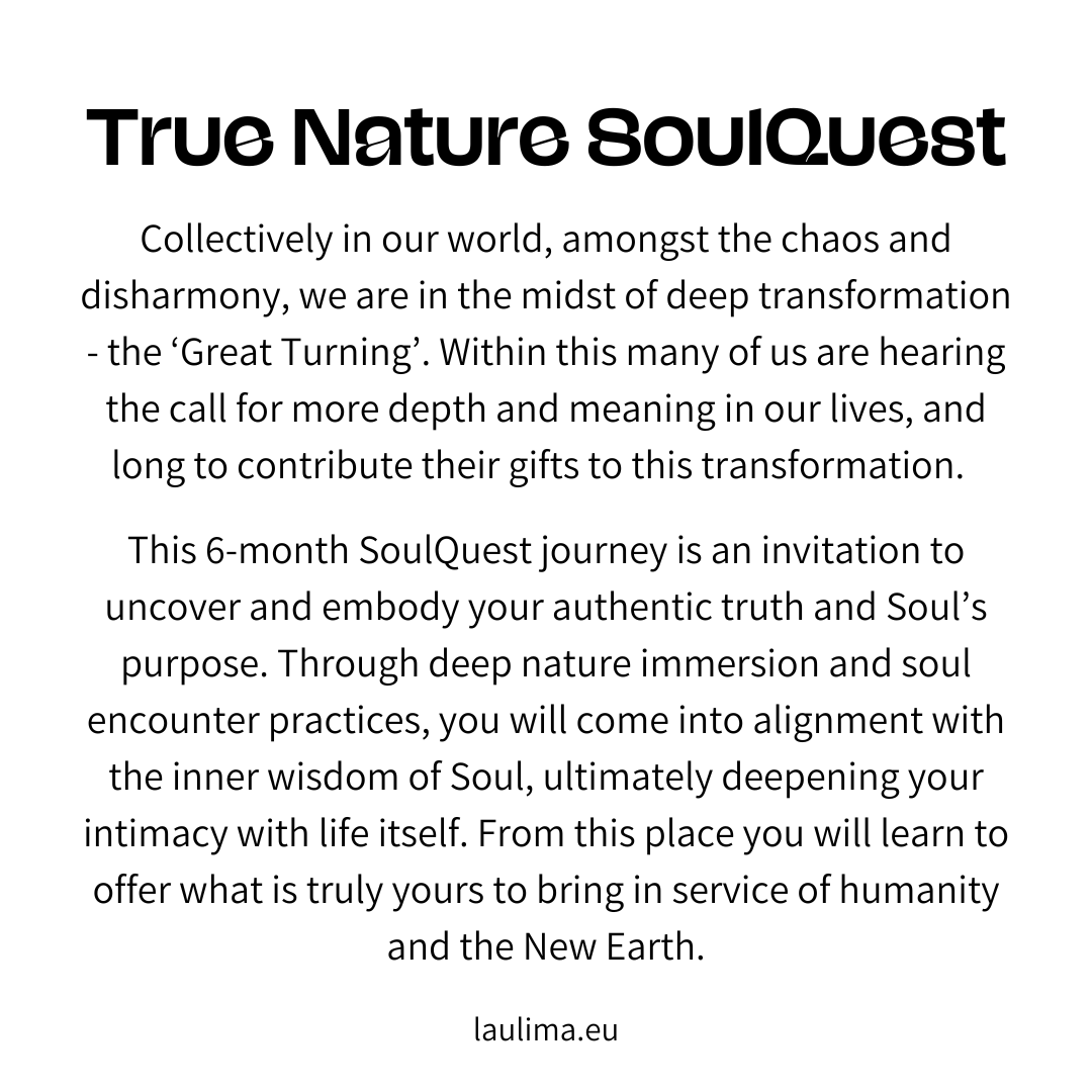 True Nature SoulQuest with Rachael Millson