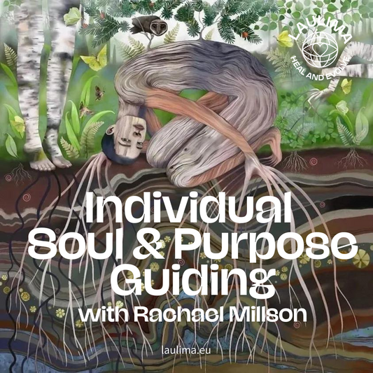 Individual Soul & Purpose Guiding